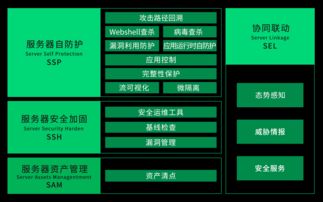 360企業安全聯合椒圖科技發布服務器自防護安全產品，助力企業管理升級